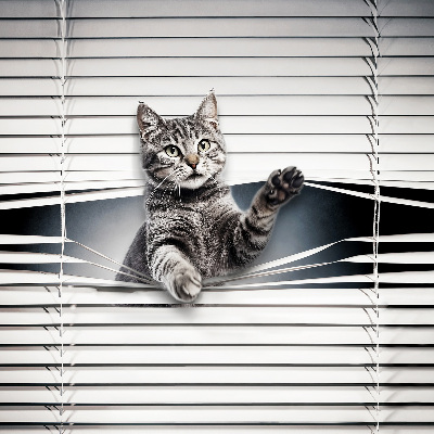 Roleta na okno Kot