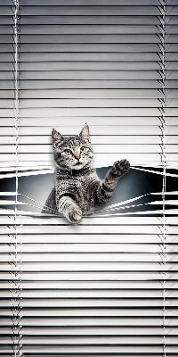Roleta na okno Kot