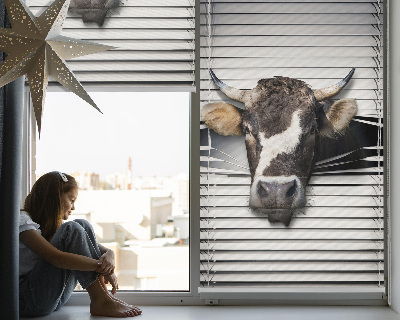 Roleta na okno Krowa
