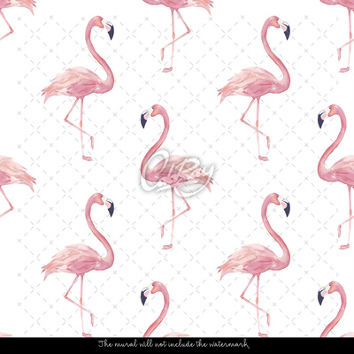 Fototapeta Świat Flamingów