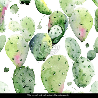 Fototapeta Ożywcza Moc Kaktusa