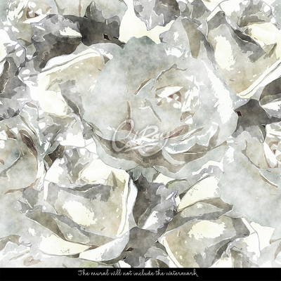 Fototapeta Abstrakcja na temat białych róż