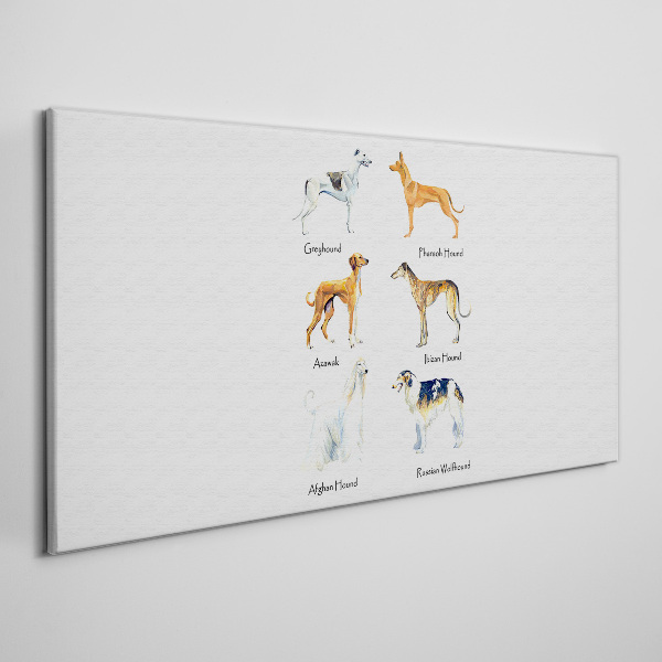 Obraz Canvas psy zwierzęta