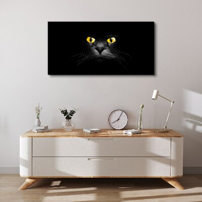 Obraz Canvas zwierzęta koty oczy