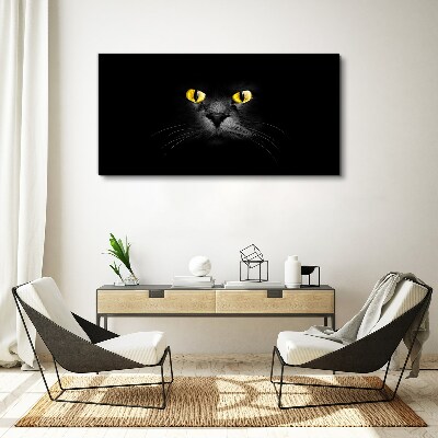 Obraz Canvas zwierzęta koty oczy