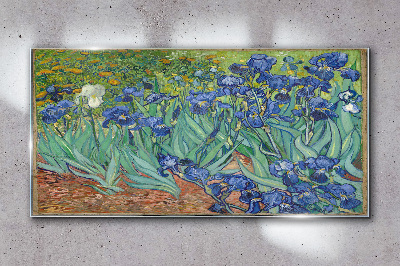 Obraz Szklany Irysy Van Gogh