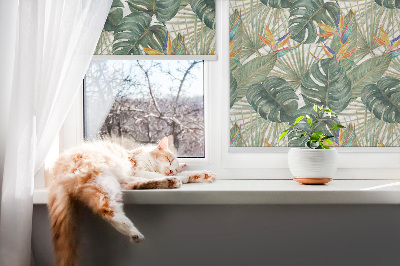 Roleta na okno Tropikalne rośliny